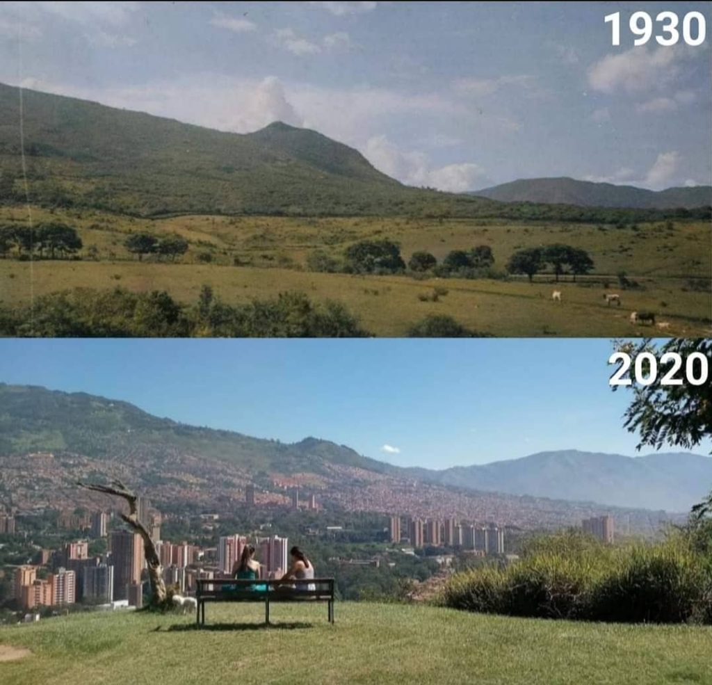Medellin is a lot greener now than it was when settlers first arrived. Nature has benefited over time.
