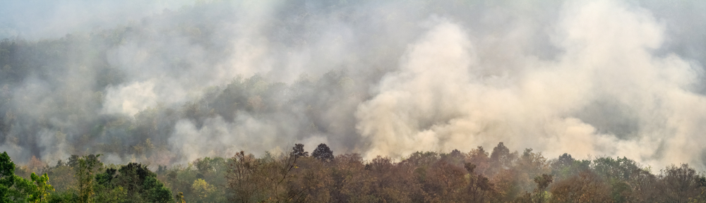 Extensive forest fires in Colombia affecting air quality in Medellin