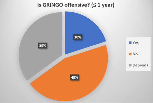 is gringo an offensive term?