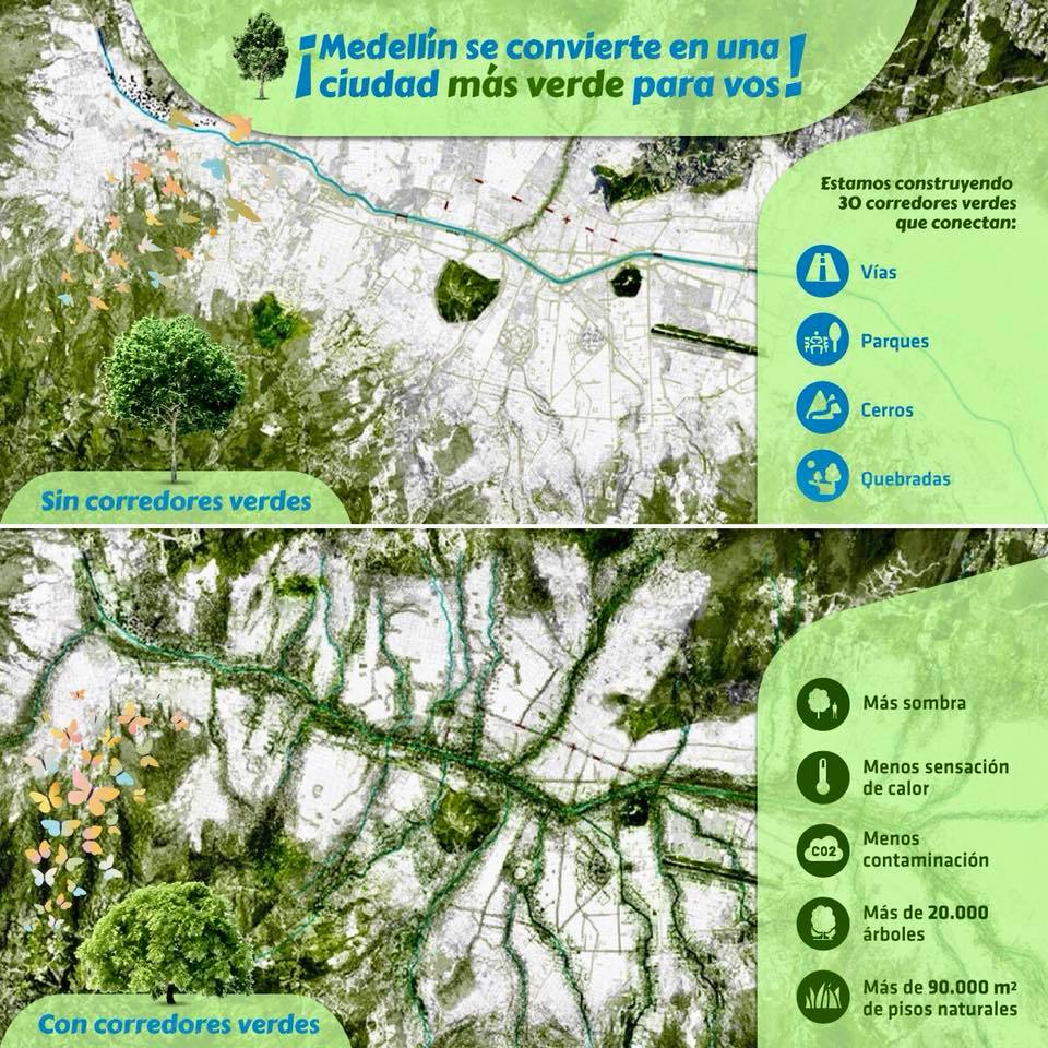 The green corridors of medellin have been able to lower the temperature of certain areas by up to 5 degrees (C).